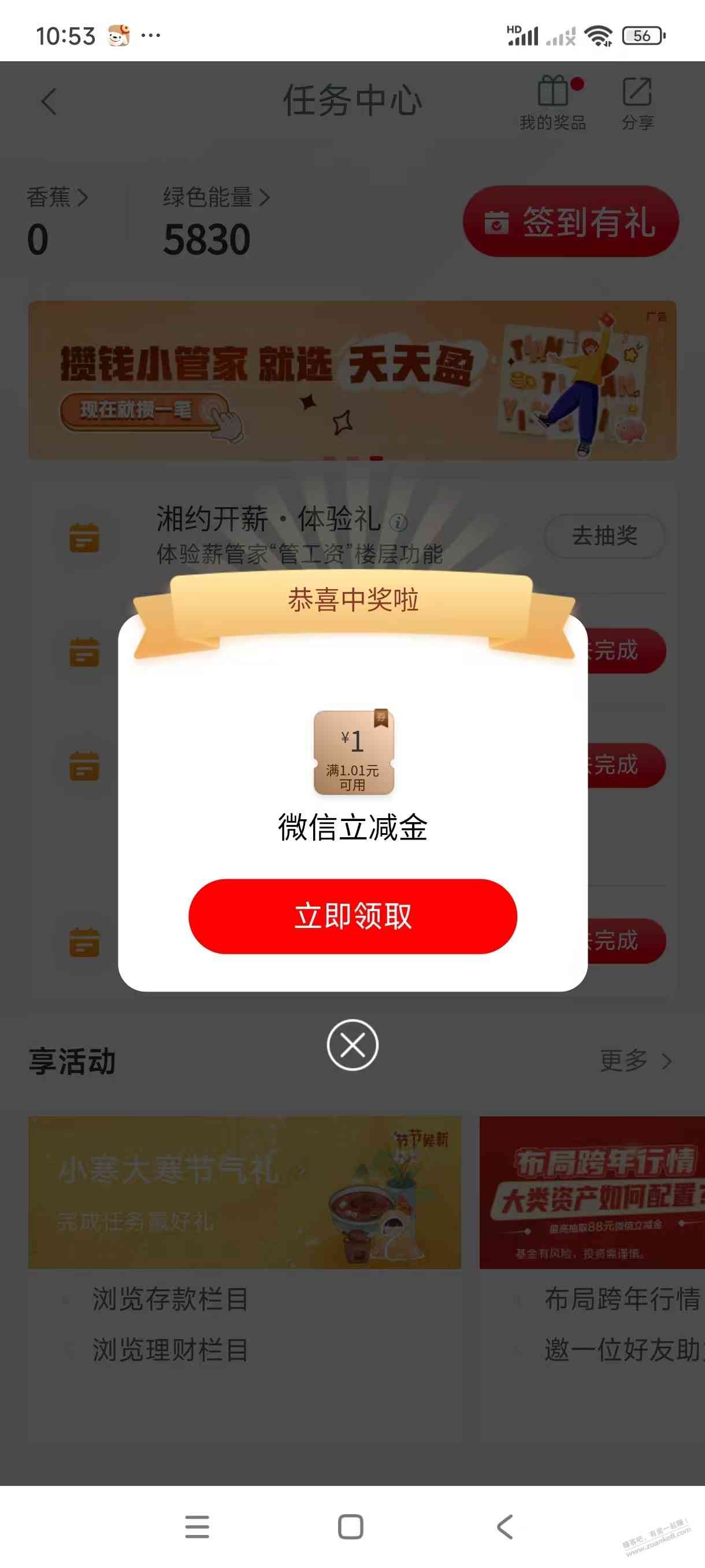d1.jpg