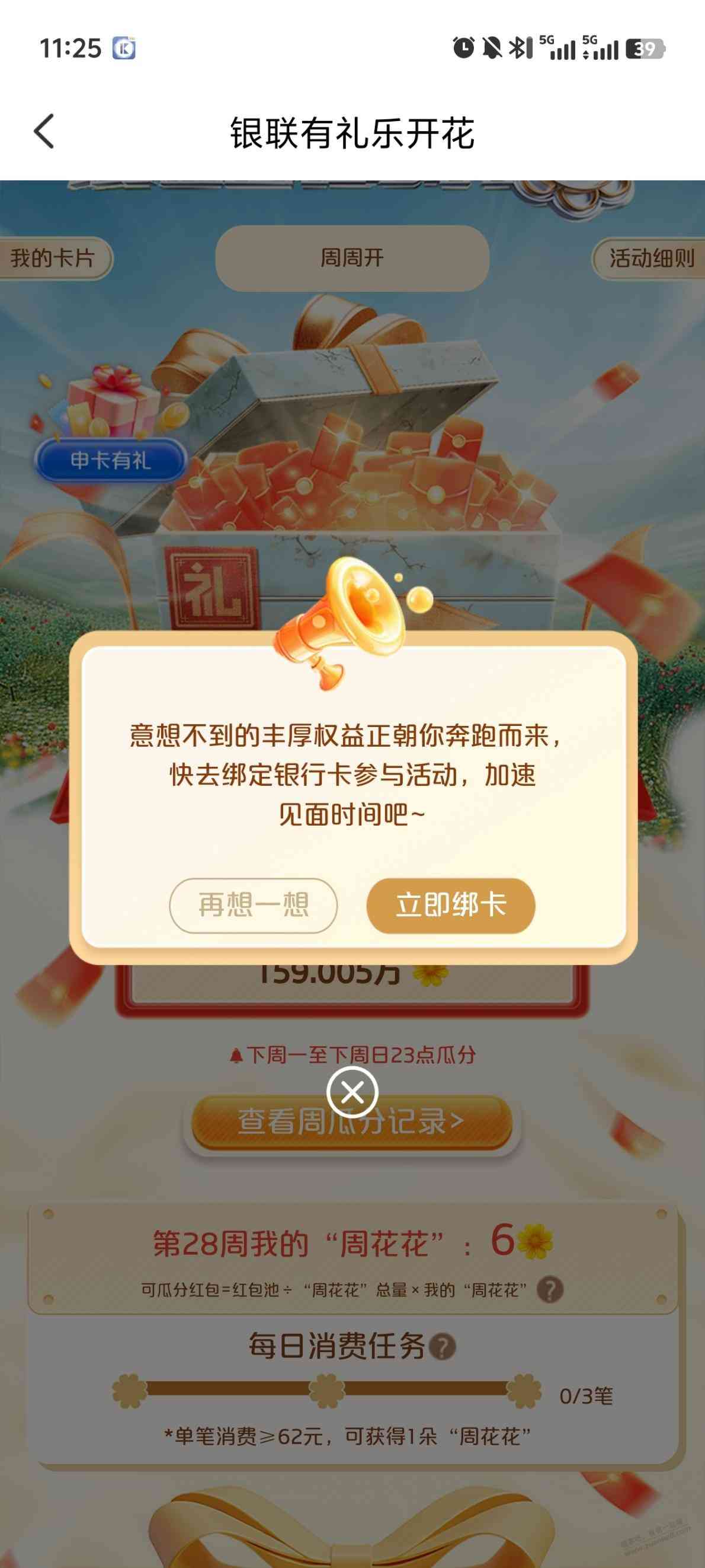 d1.jpg