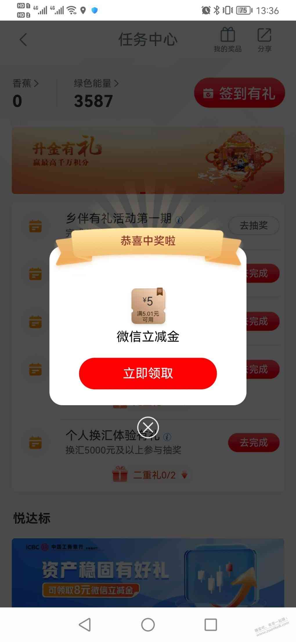 d1.jpg