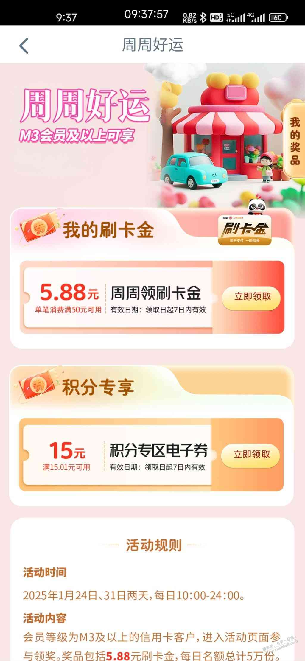 d1.jpg