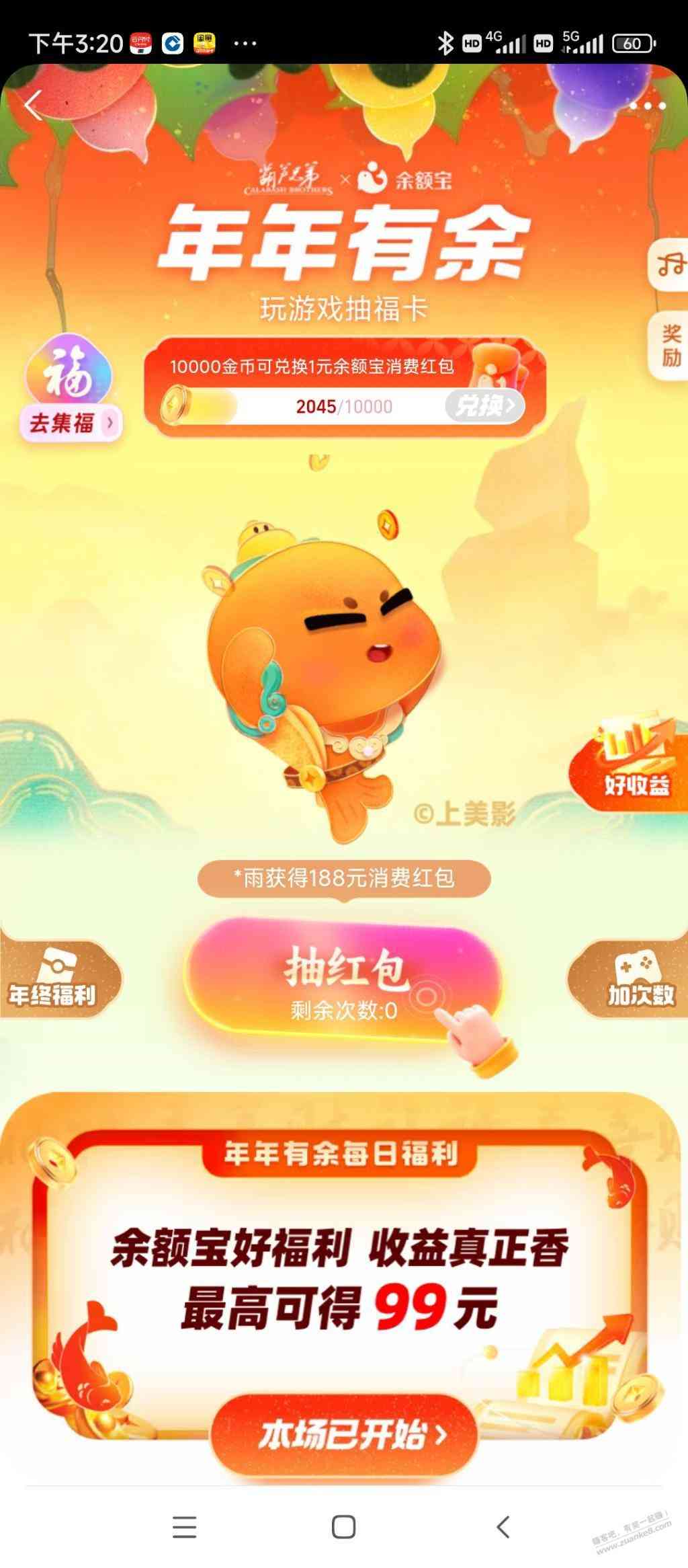 d1.jpg