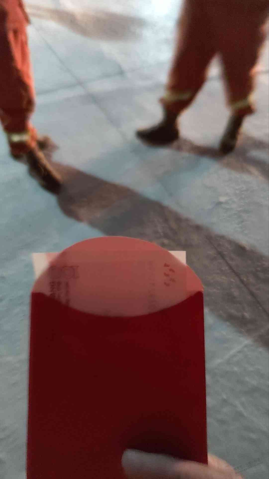 d1.jpg