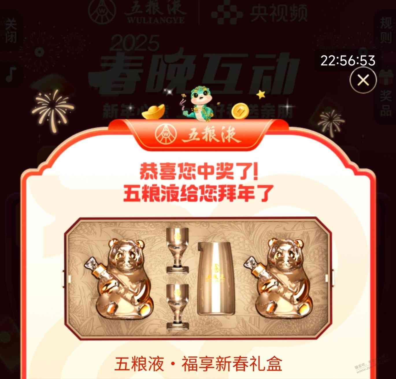 d1.jpg