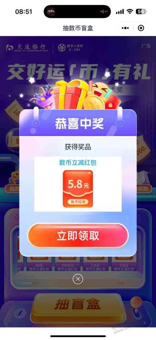 d1.jpg