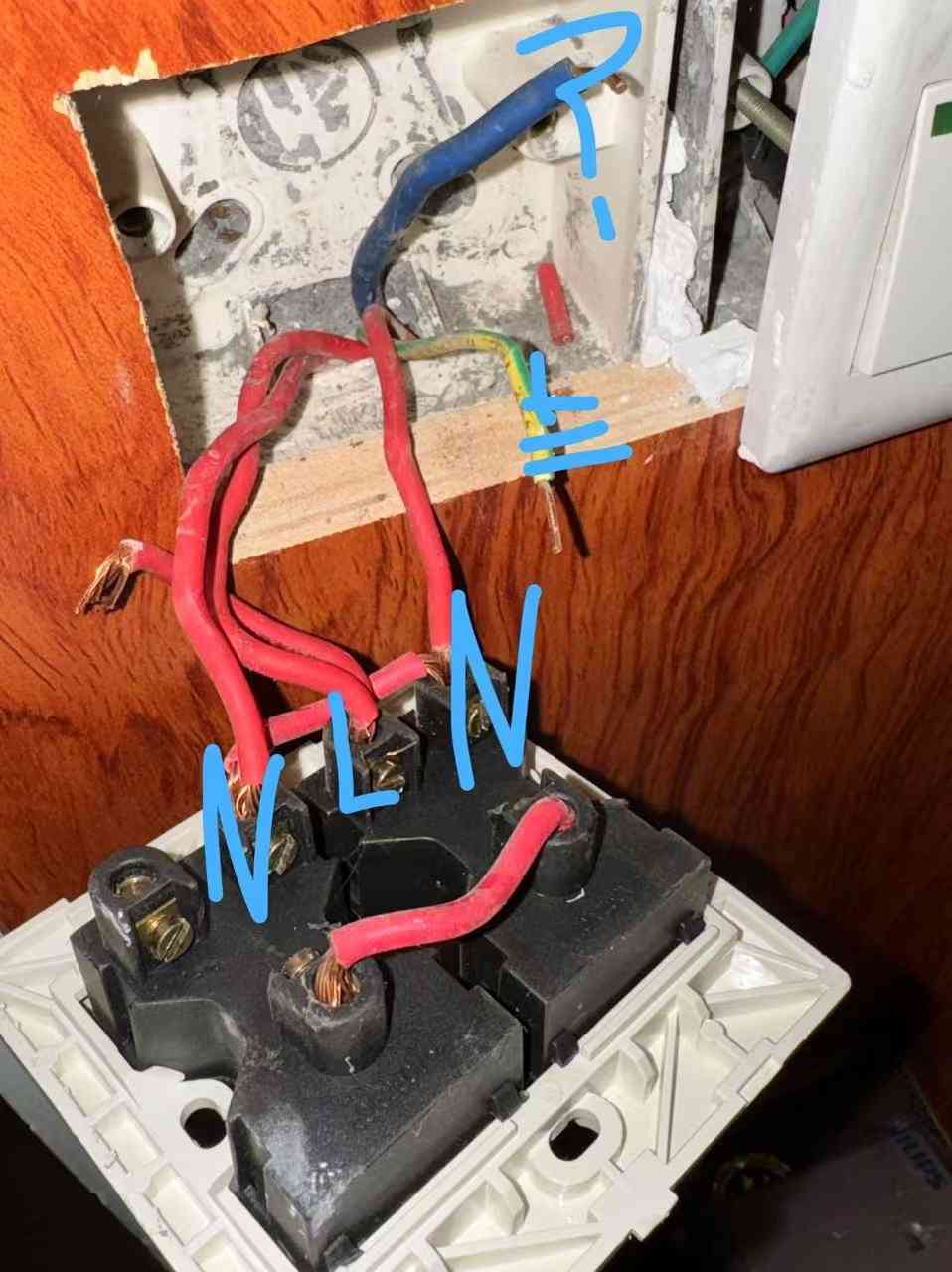 d1.jpeg