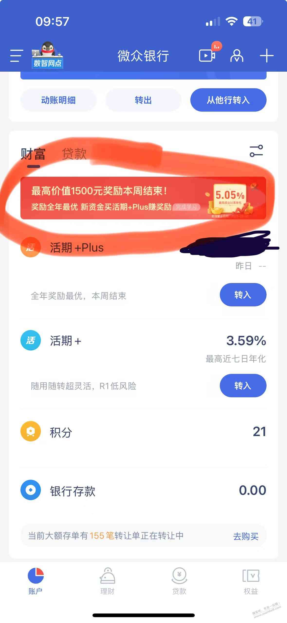 d1.jpg