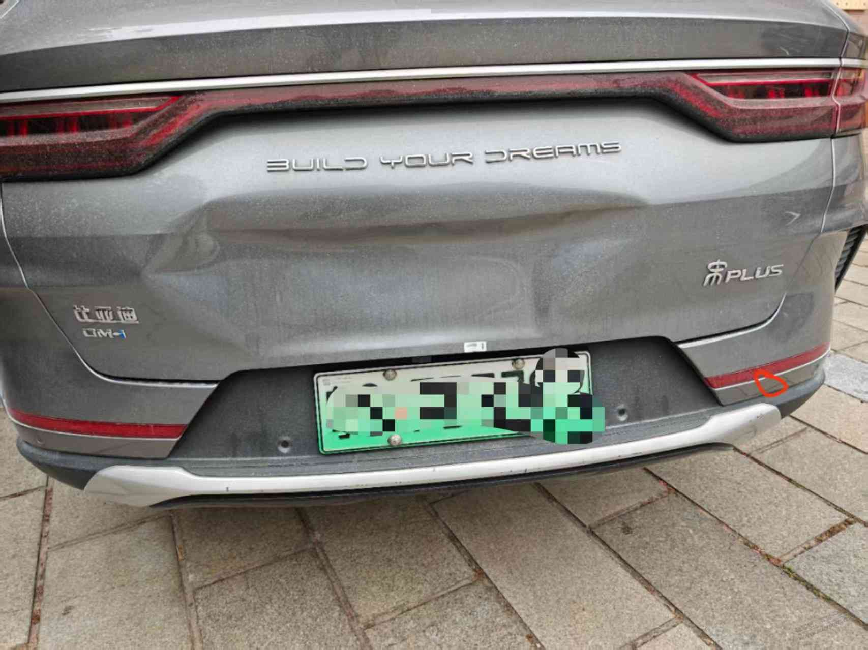 d1.jpg