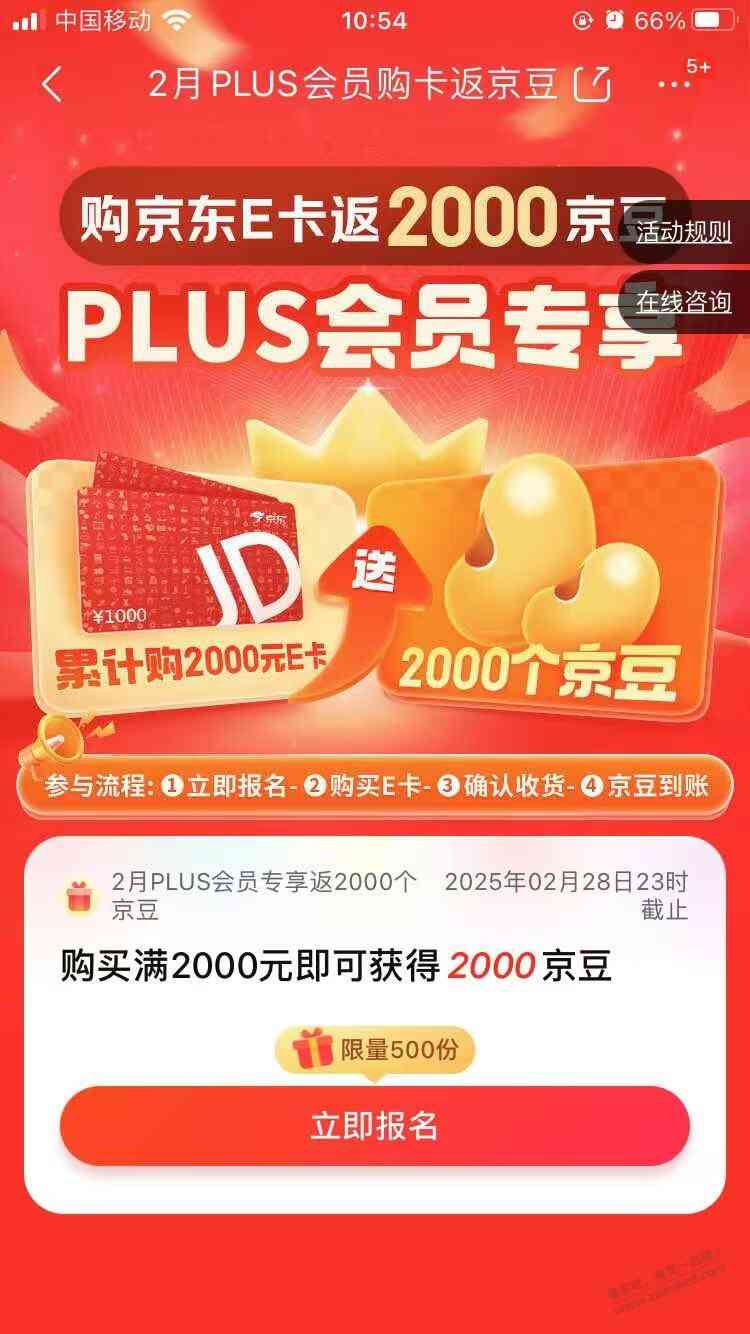 d1.jpg