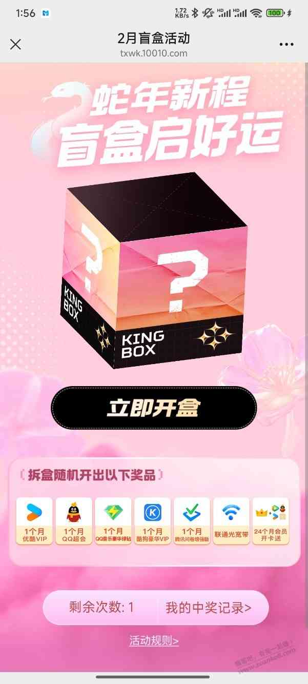 d1.jpg
