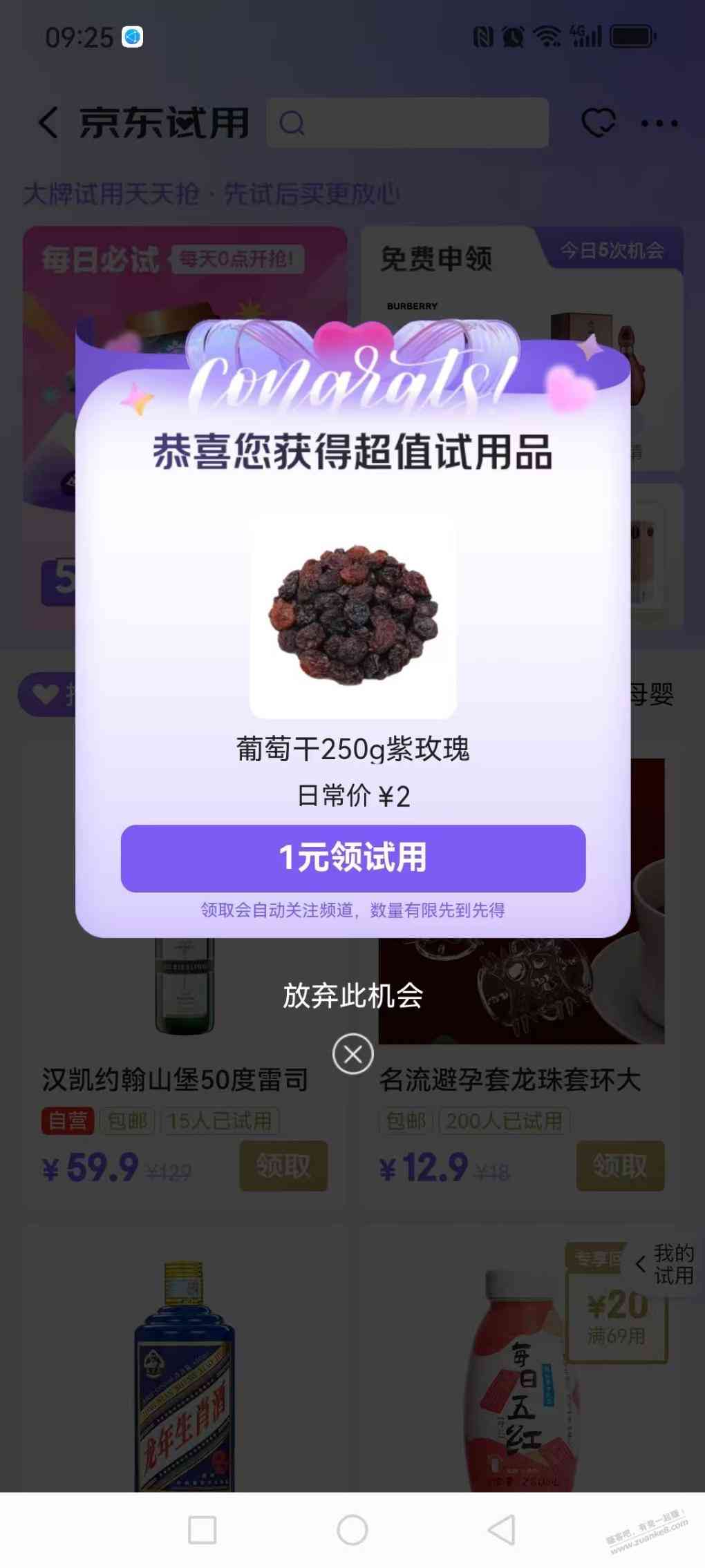 d1.jpg