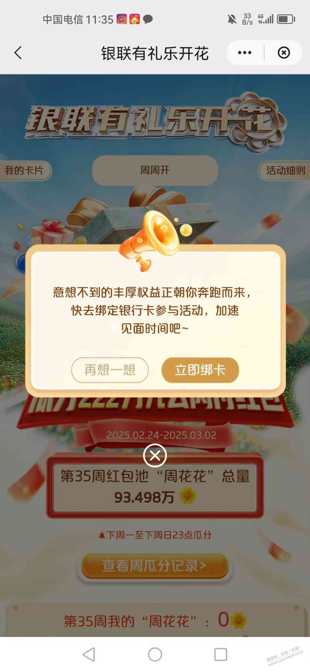 d1.jpg