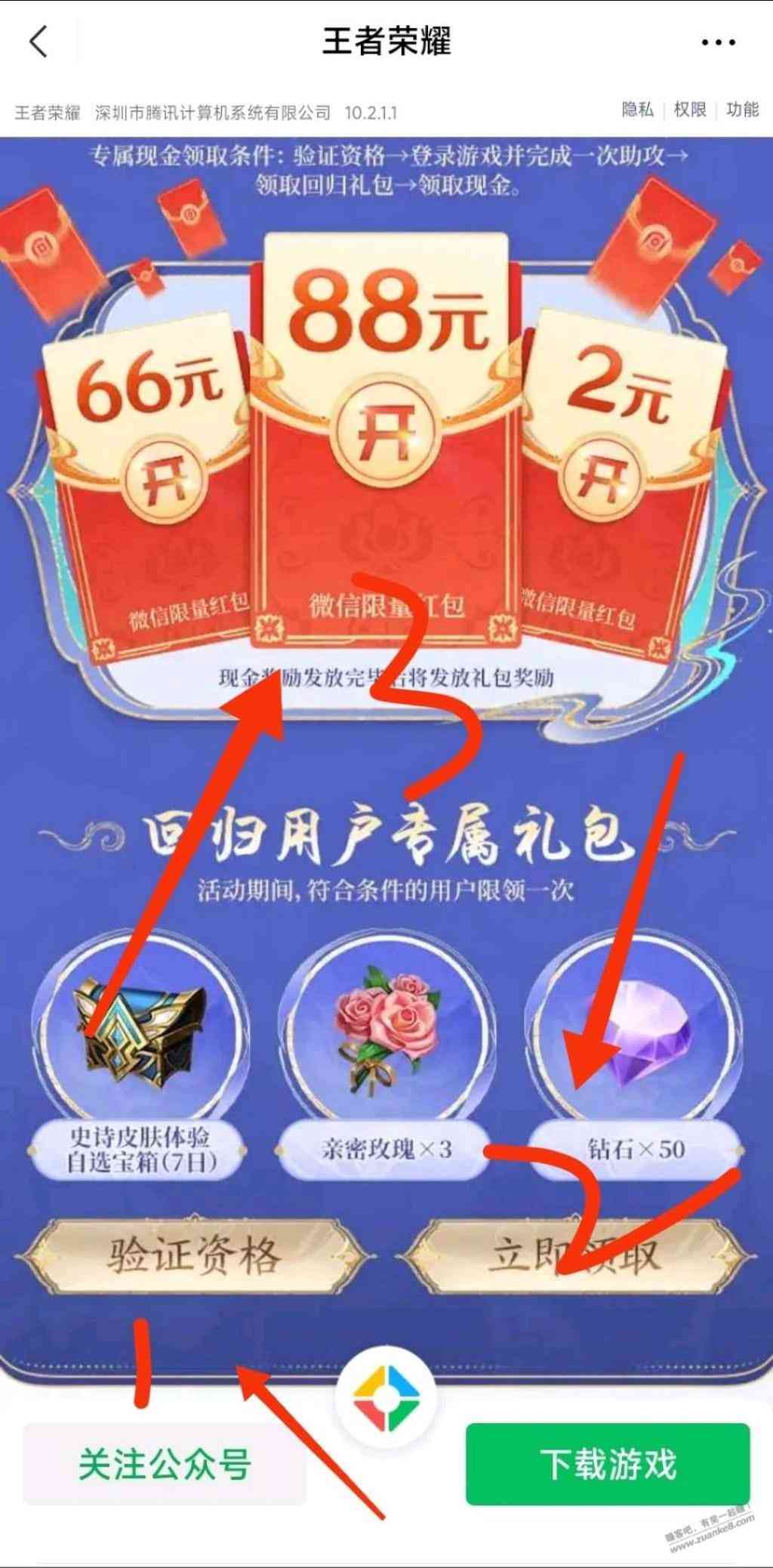 d1.jpg