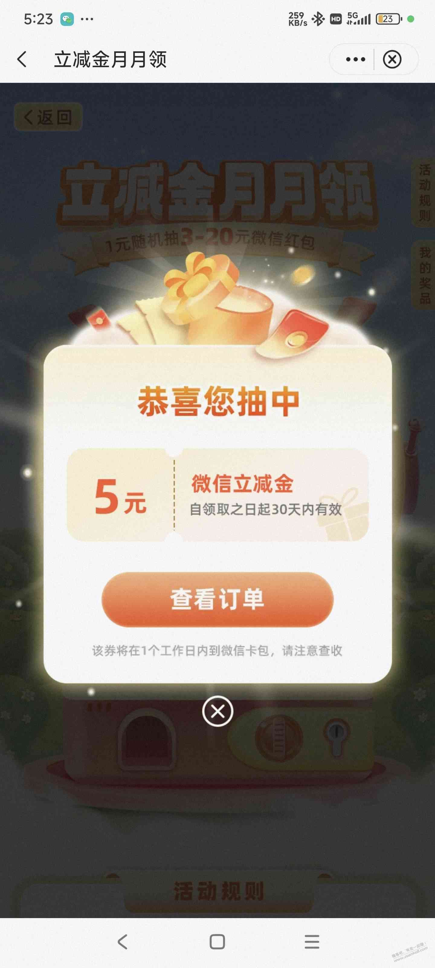 d1.jpg