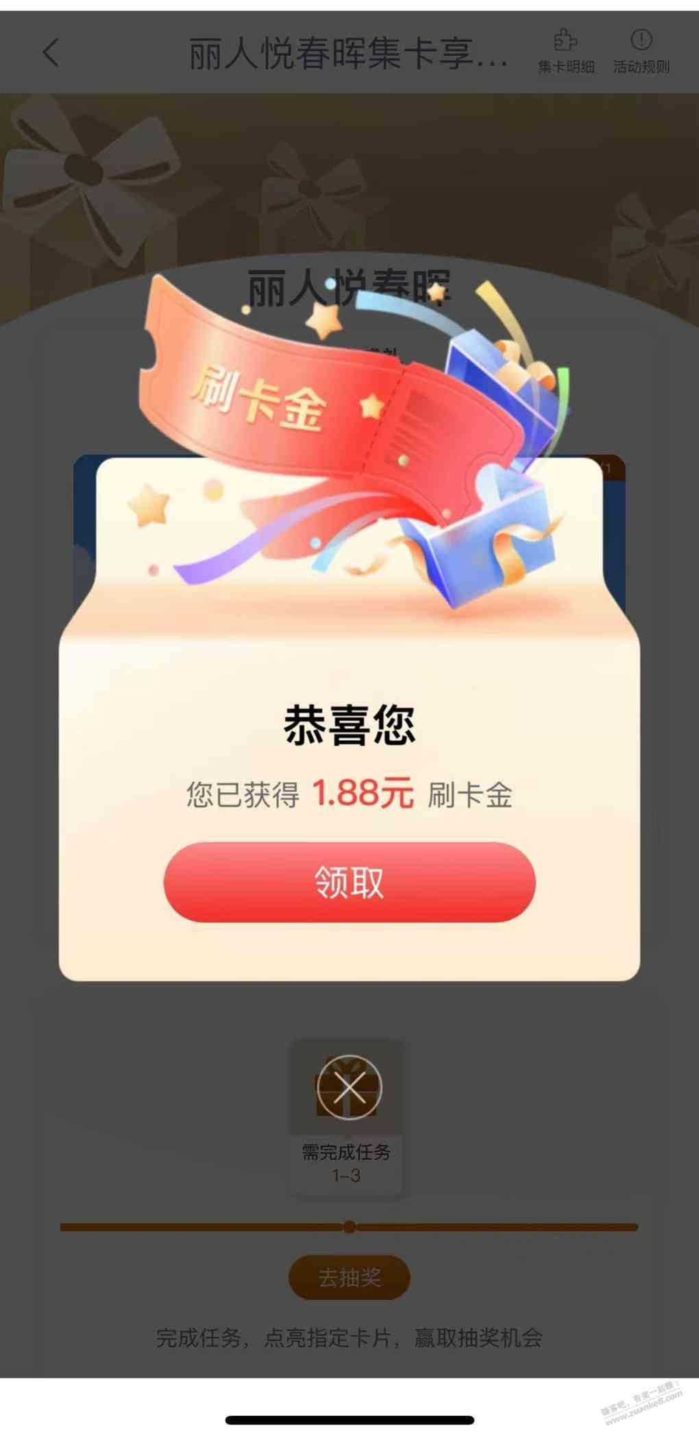 d1.jpg