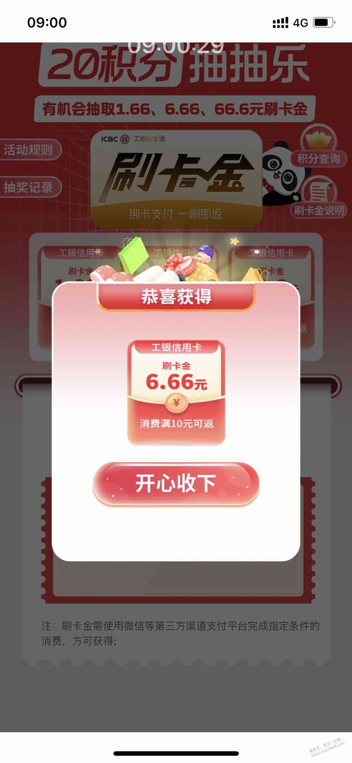d1.jpg