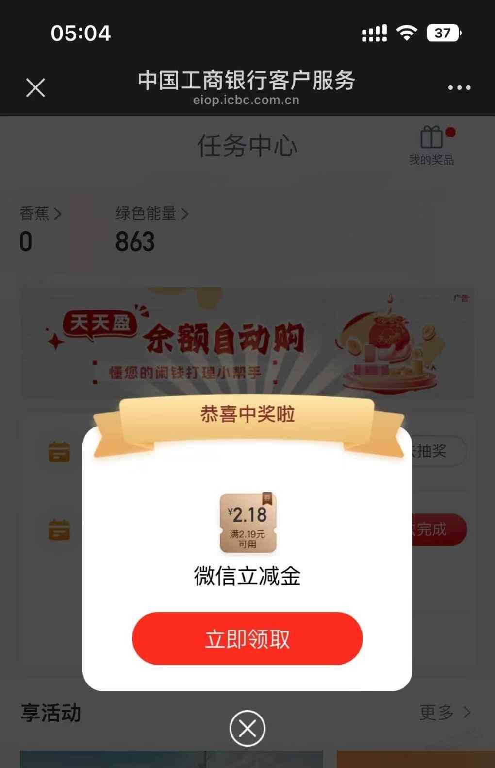 d1.jpg