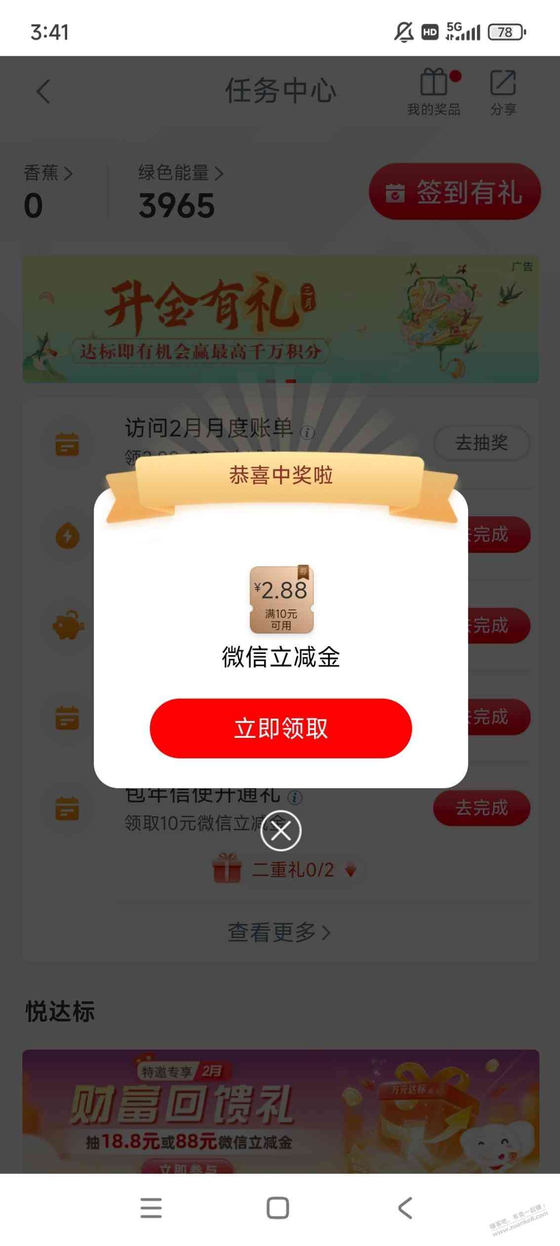 d1.jpg