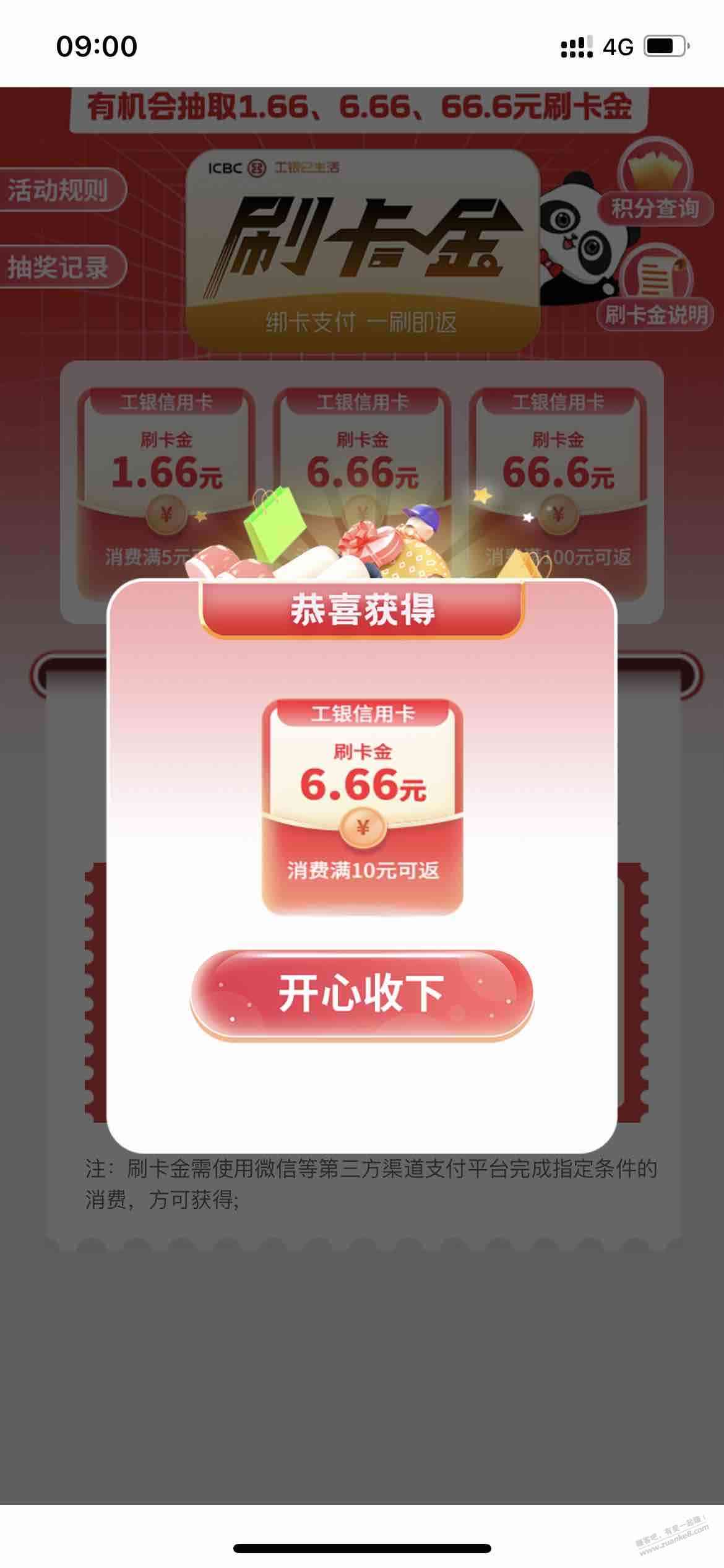 d1.jpg