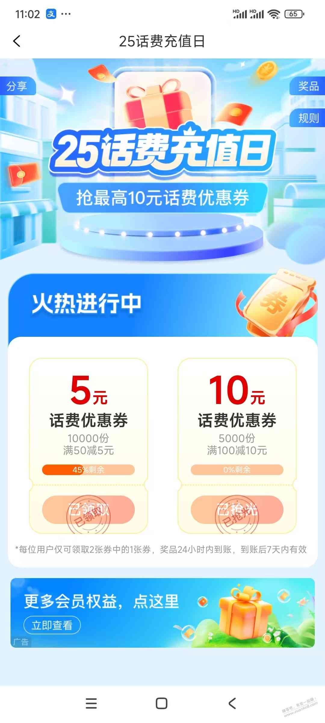 d1.jpg