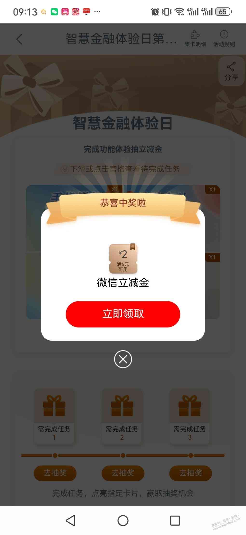 d1.jpg