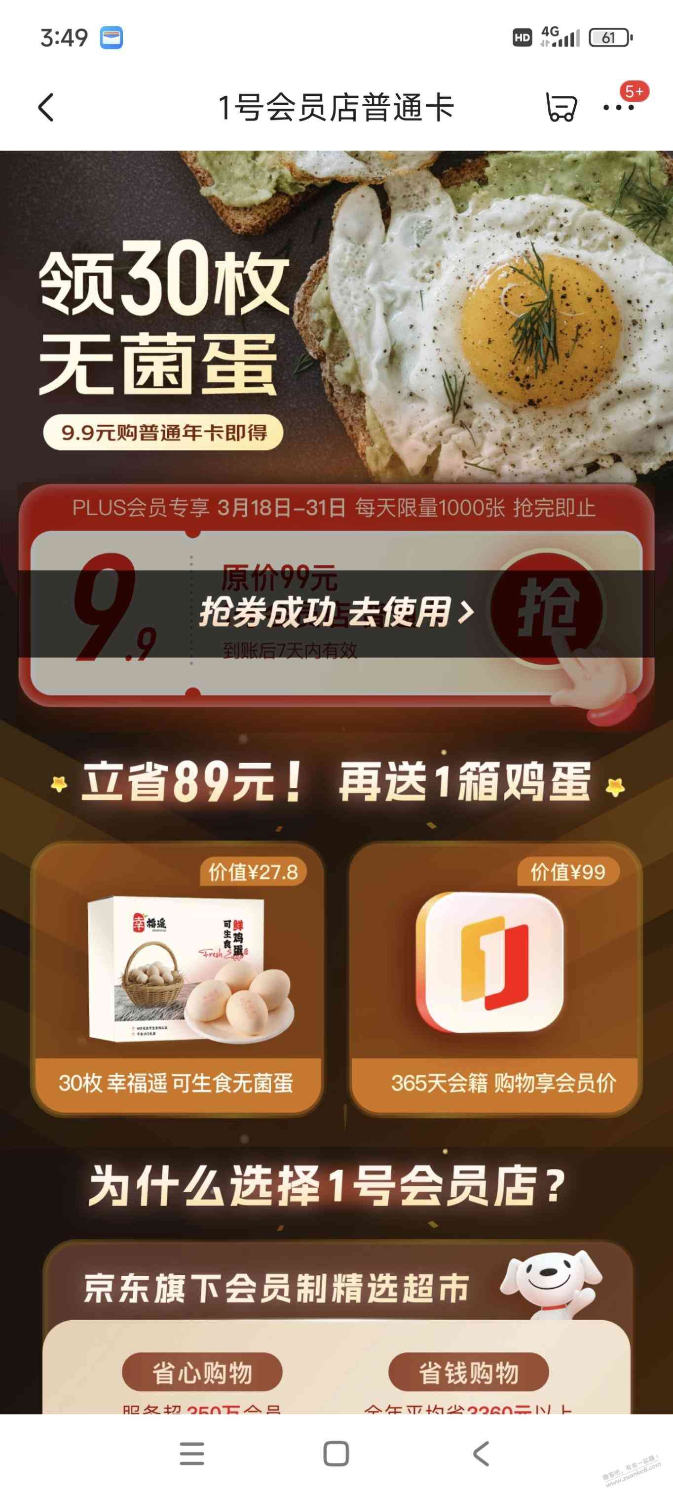 d1.jpg