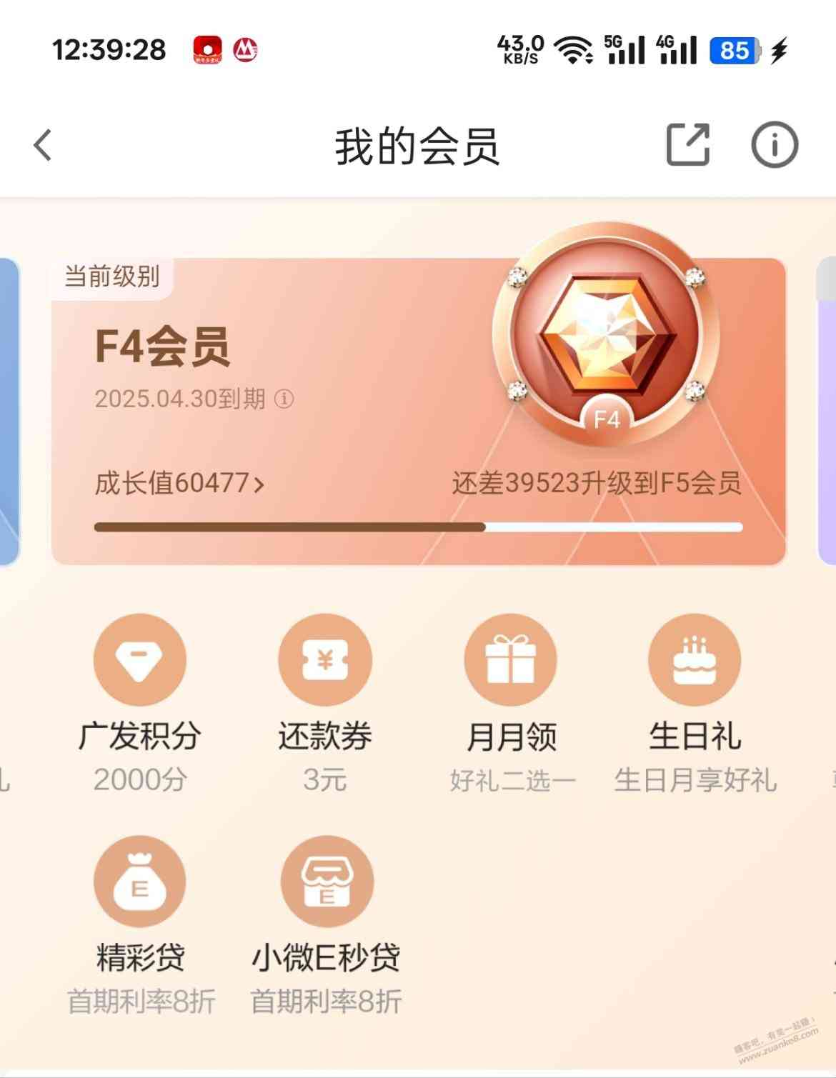 d1.jpg