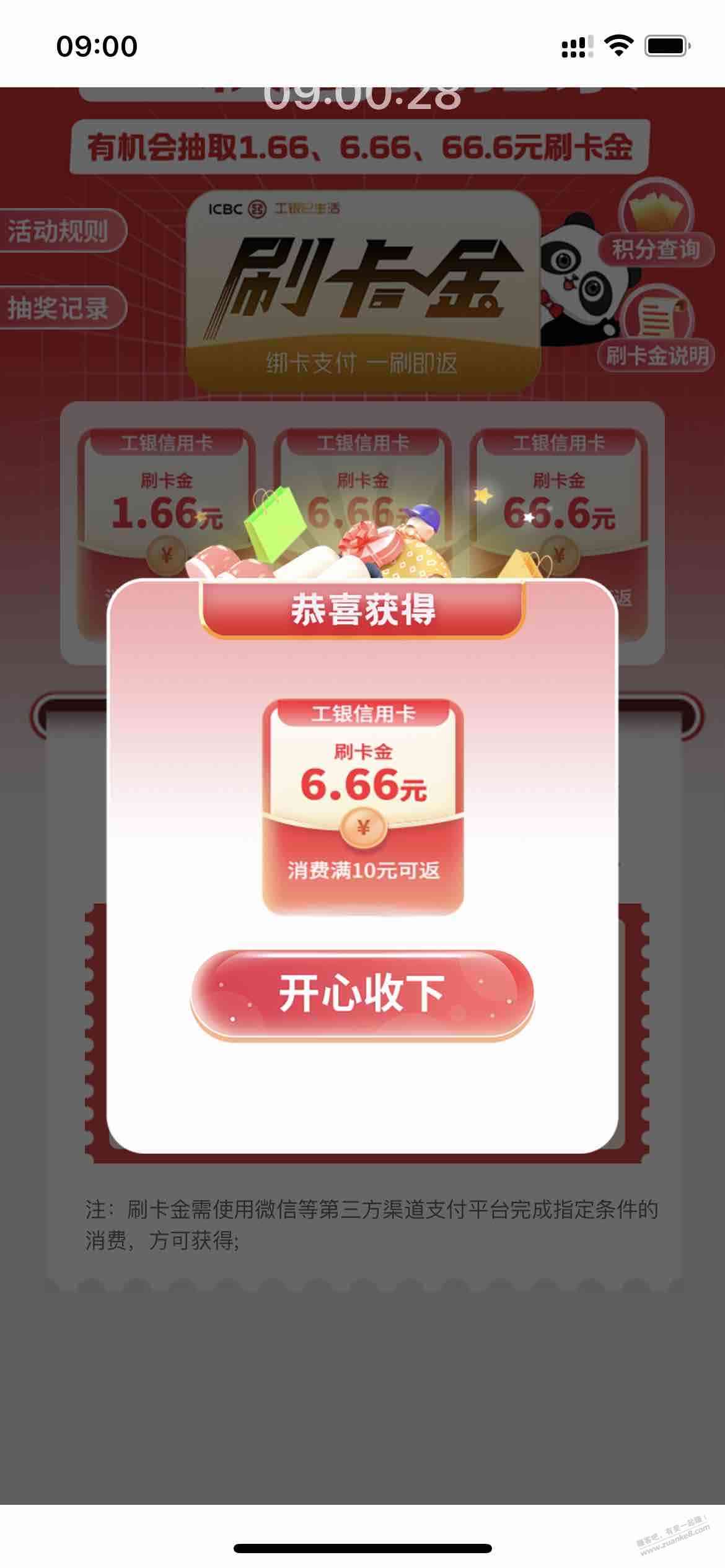 d1.jpg
