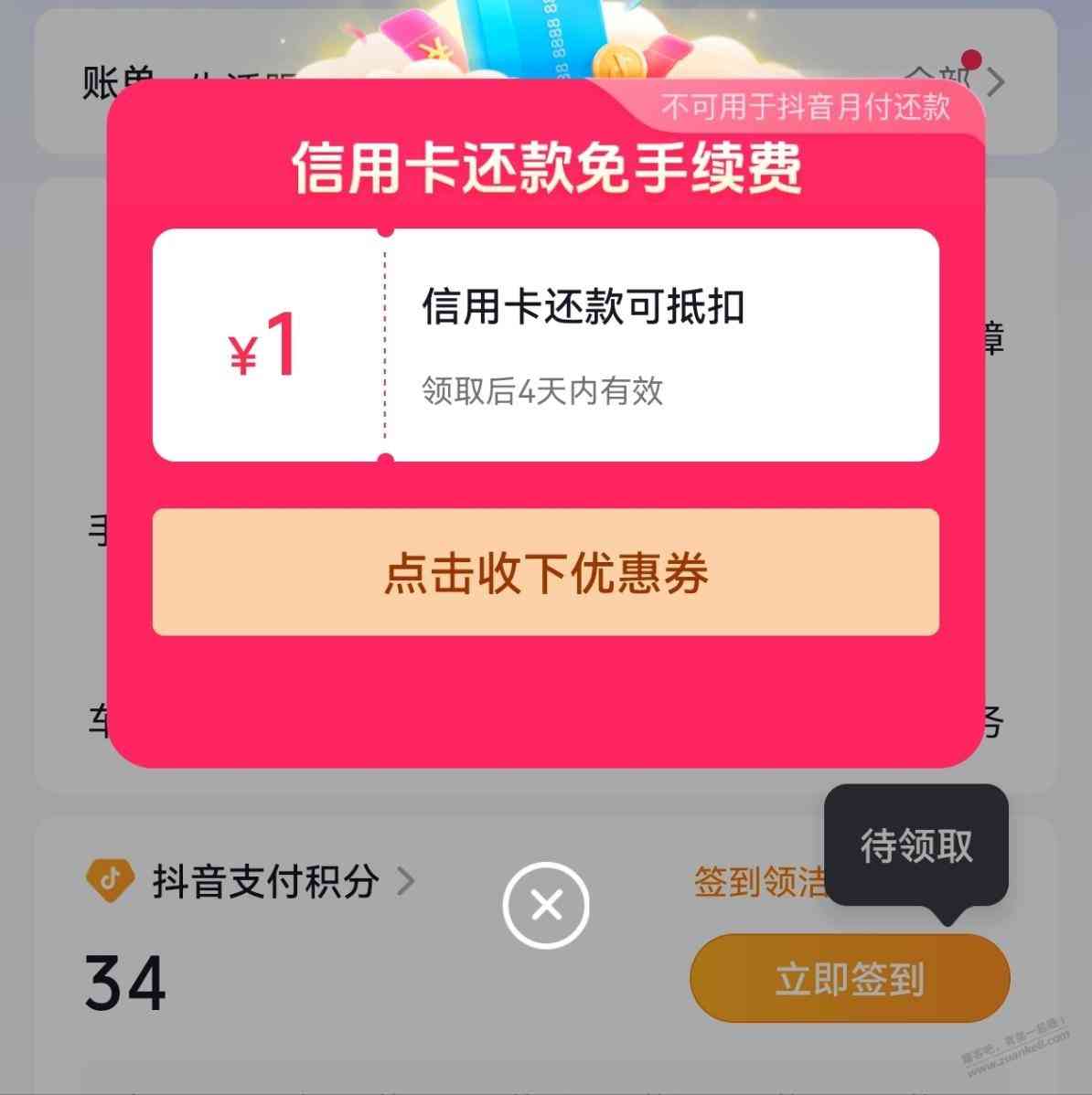 d1.jpg
