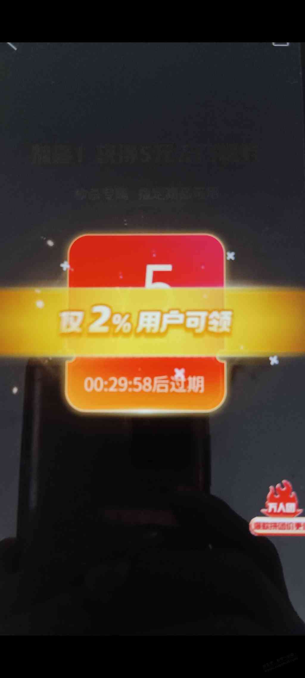 d1.jpg