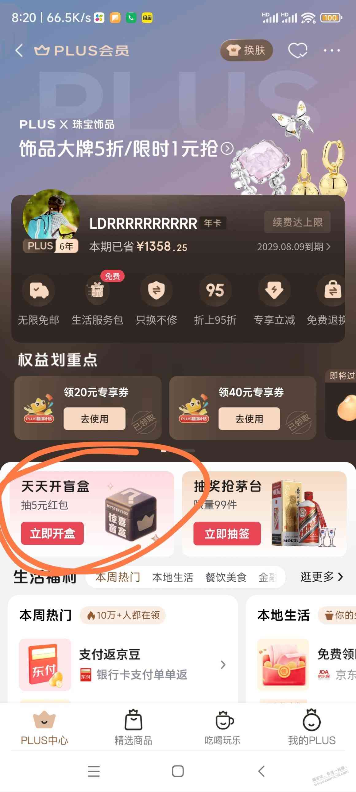 d1.jpg