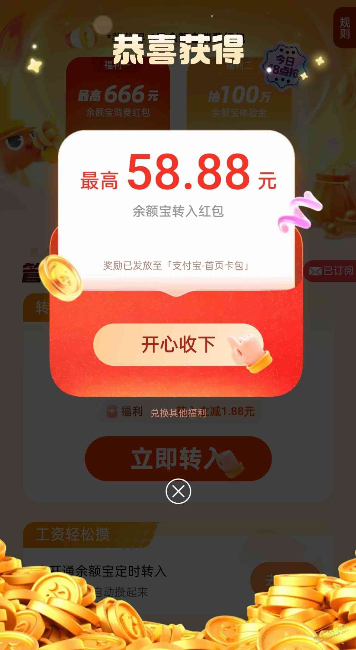 d1.jpg