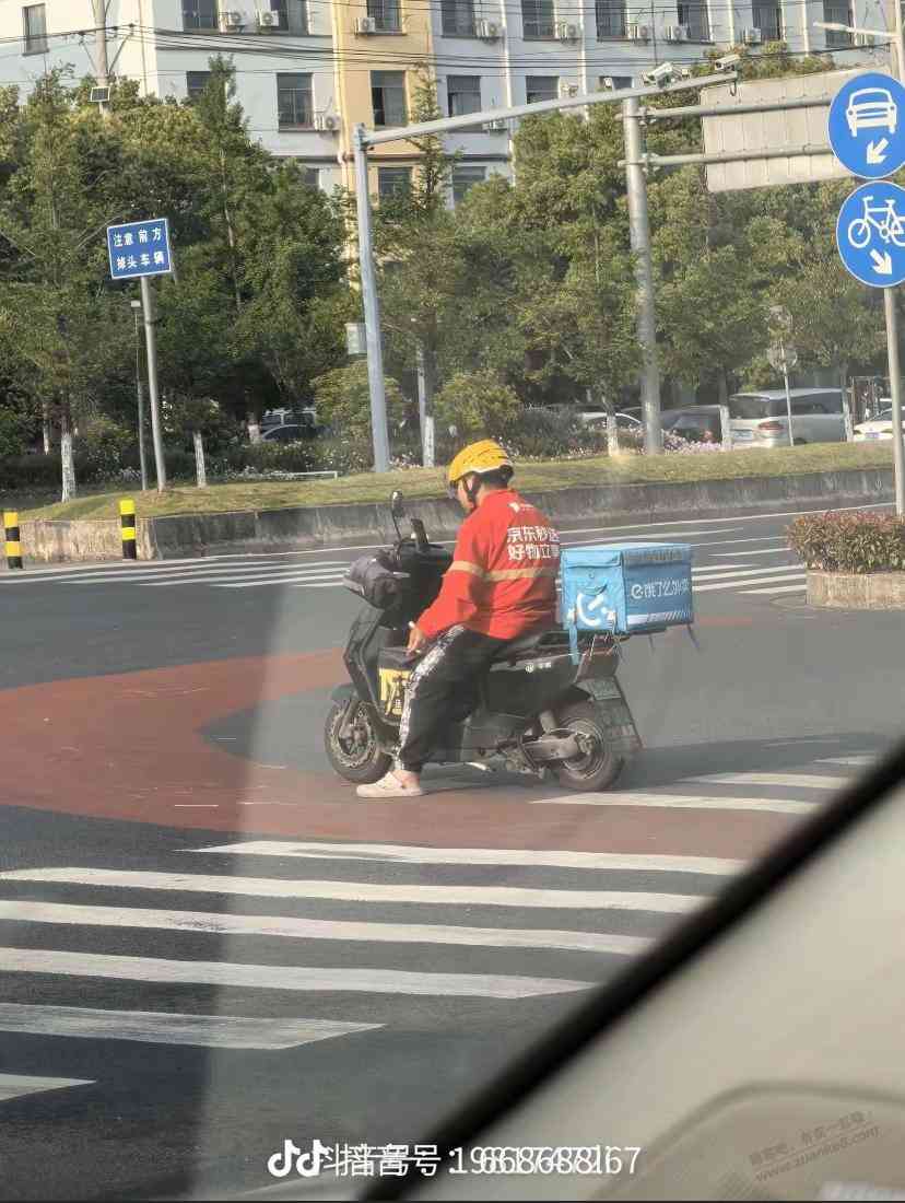 d1.jpg