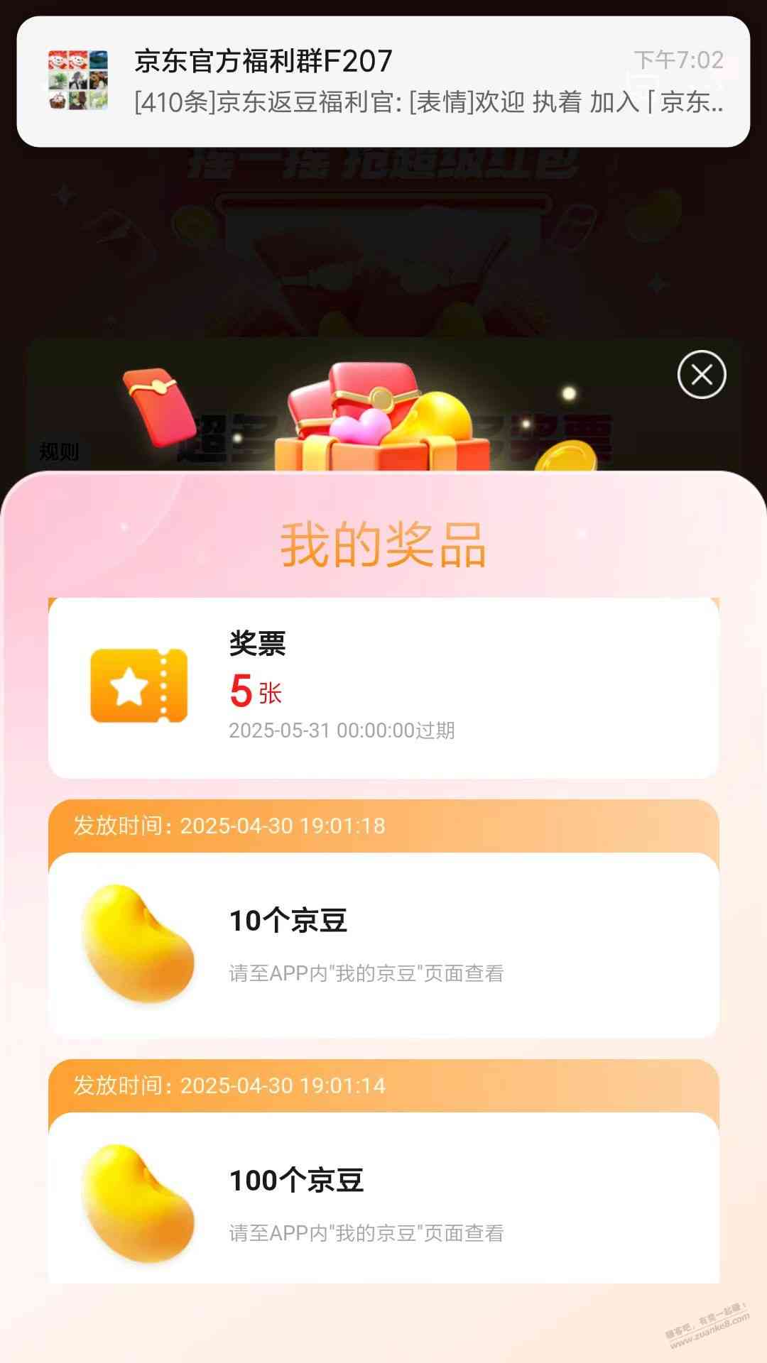d1.jpg