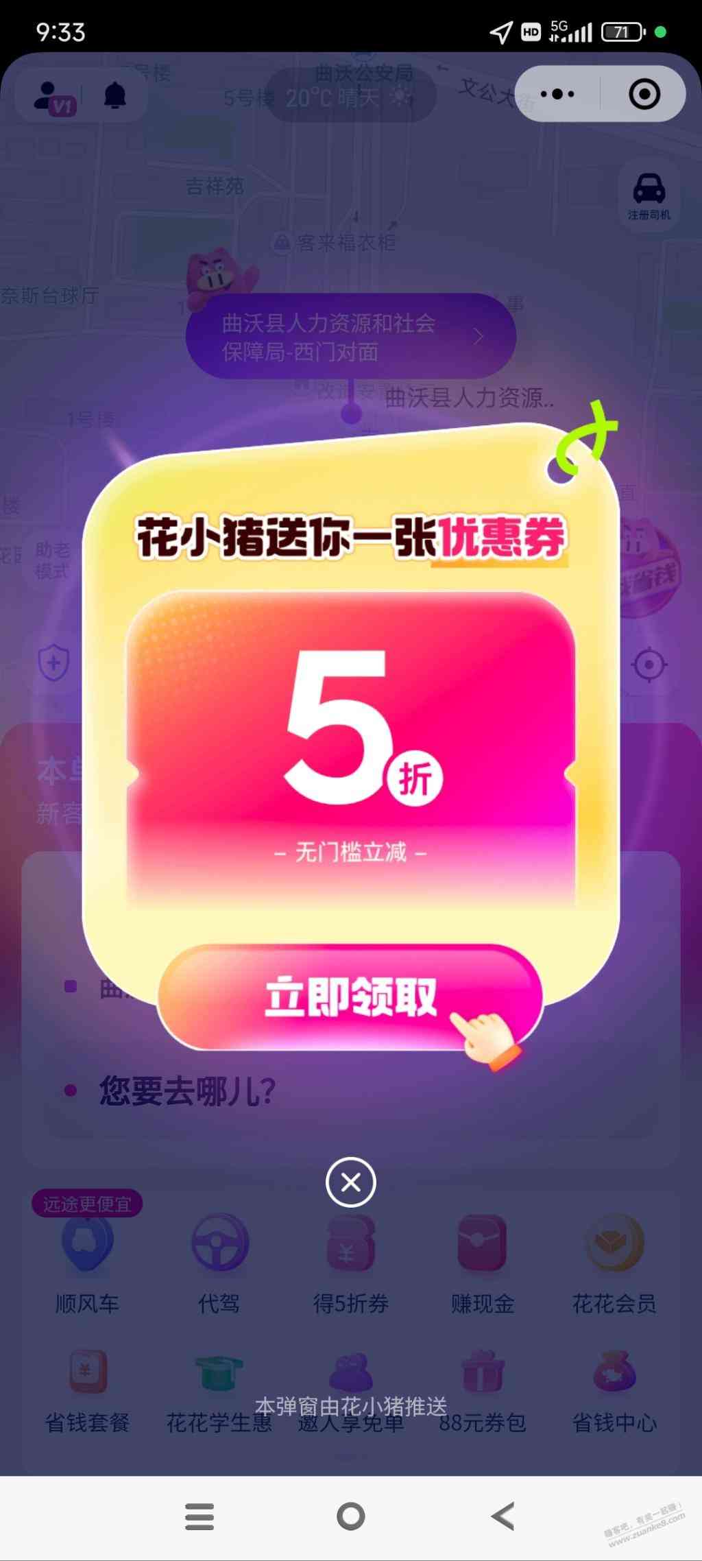 d1.jpg
