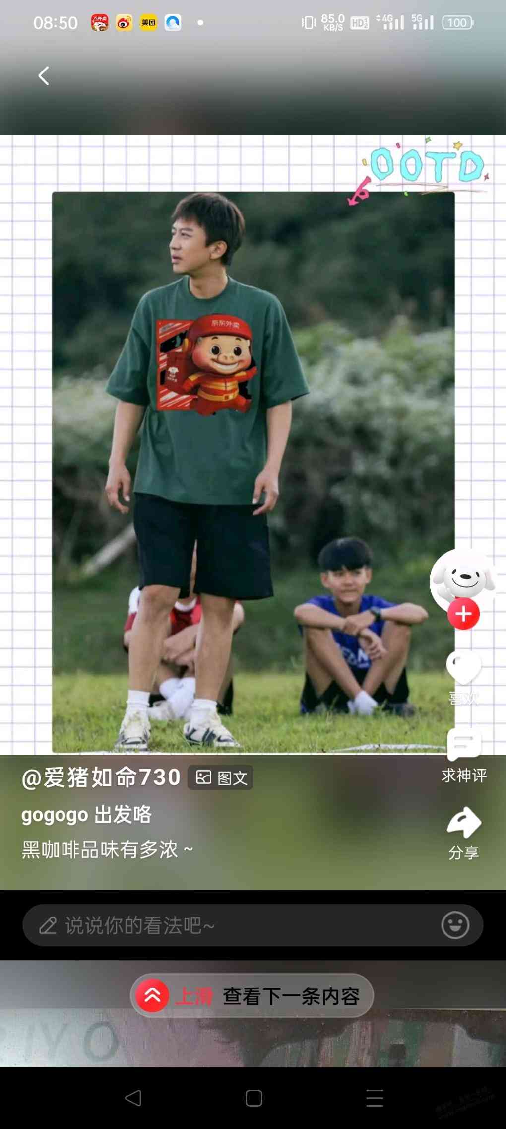 d1.jpg