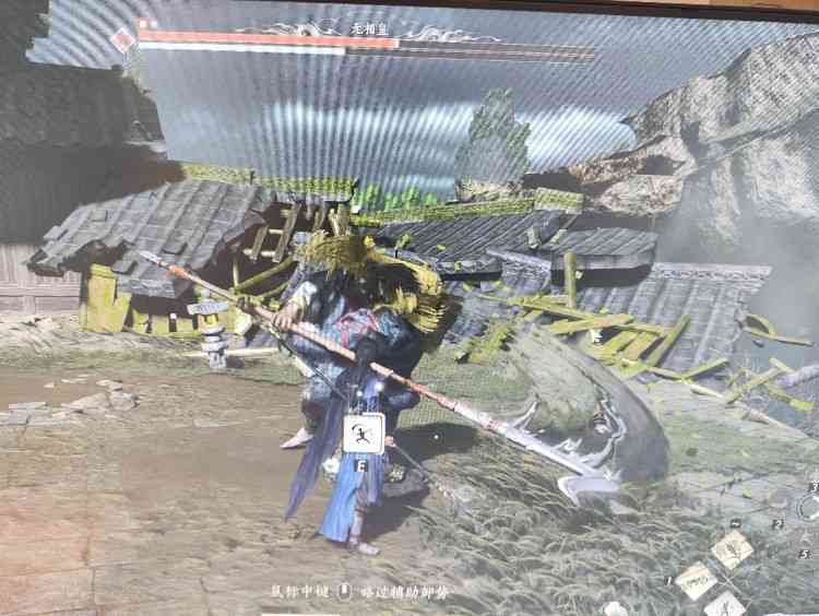 d1.jpg