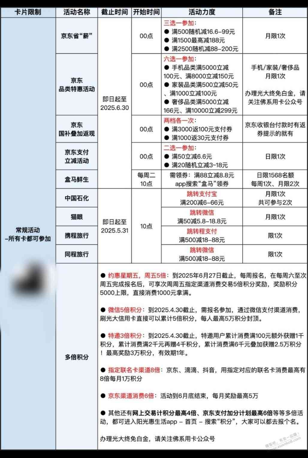 d1.jpg