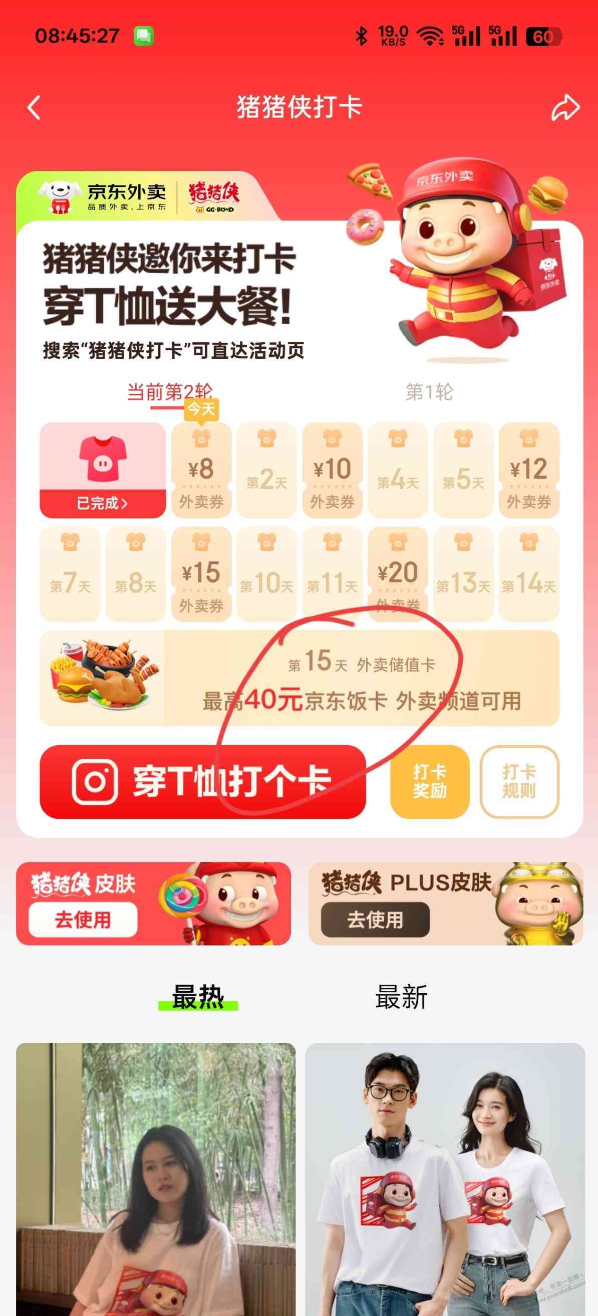 d1.jpg