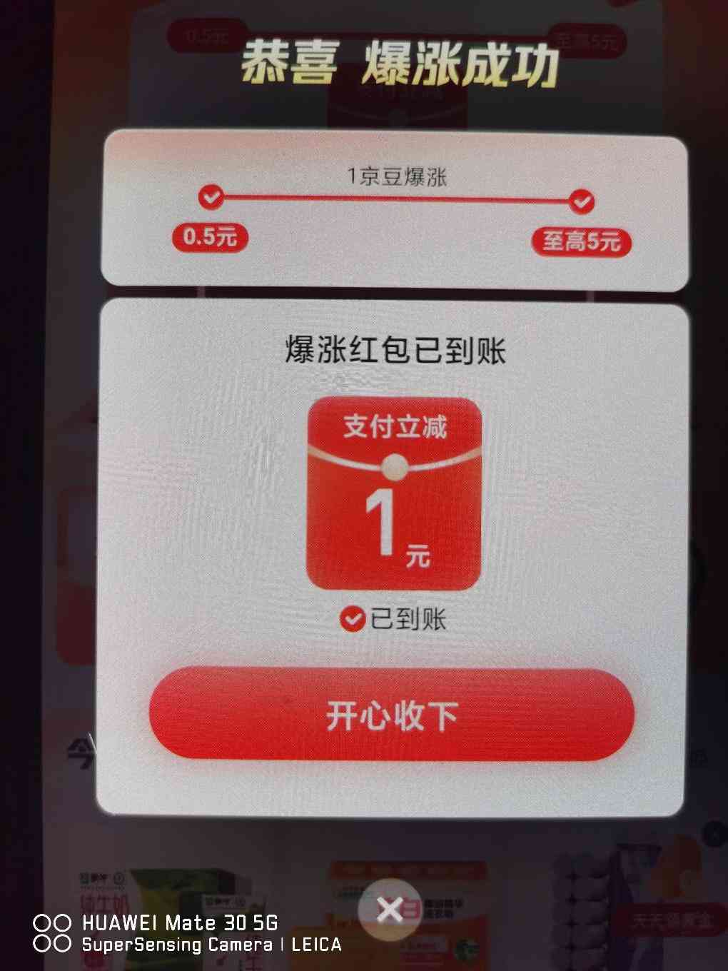 d1.jpg