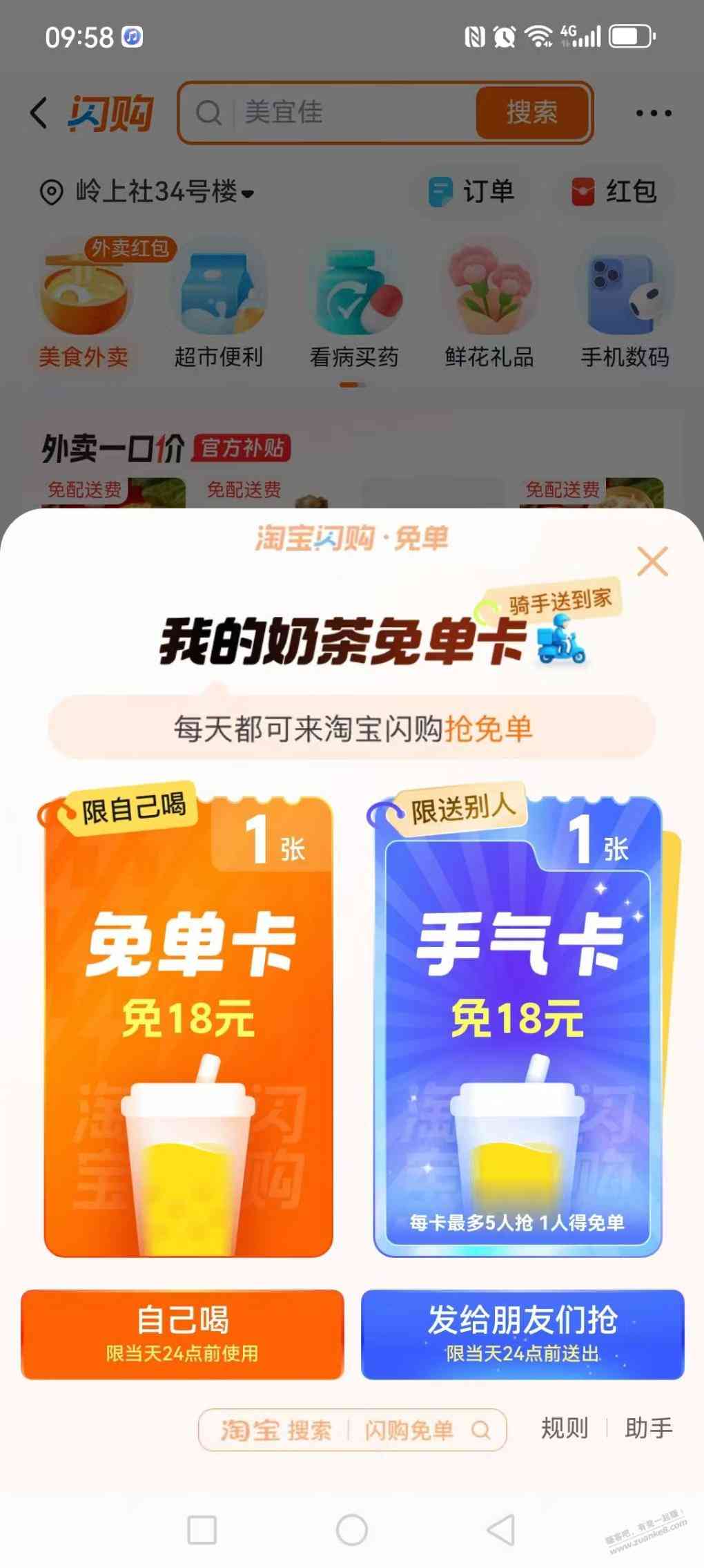d1.jpg