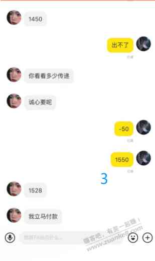 d5.jpg