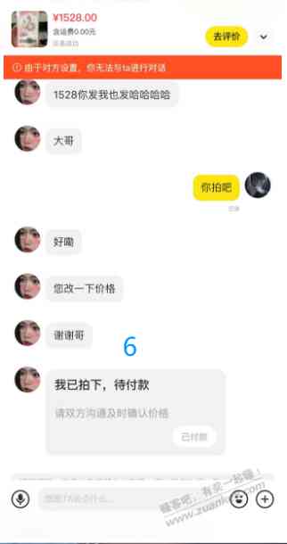 d8.jpg