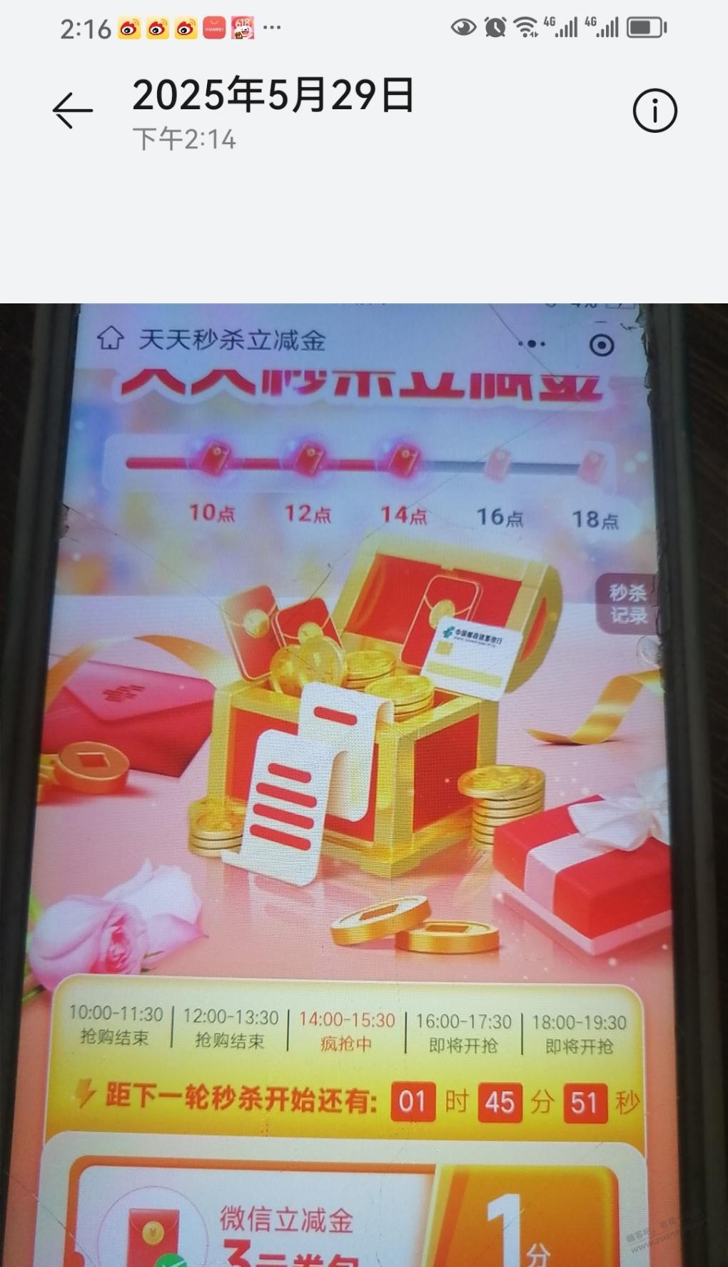 d1.jpg