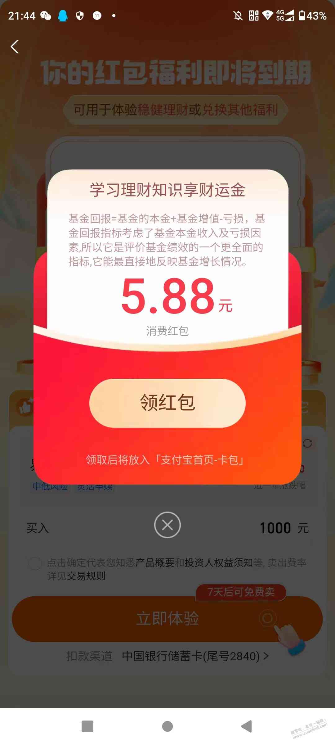d1.jpg