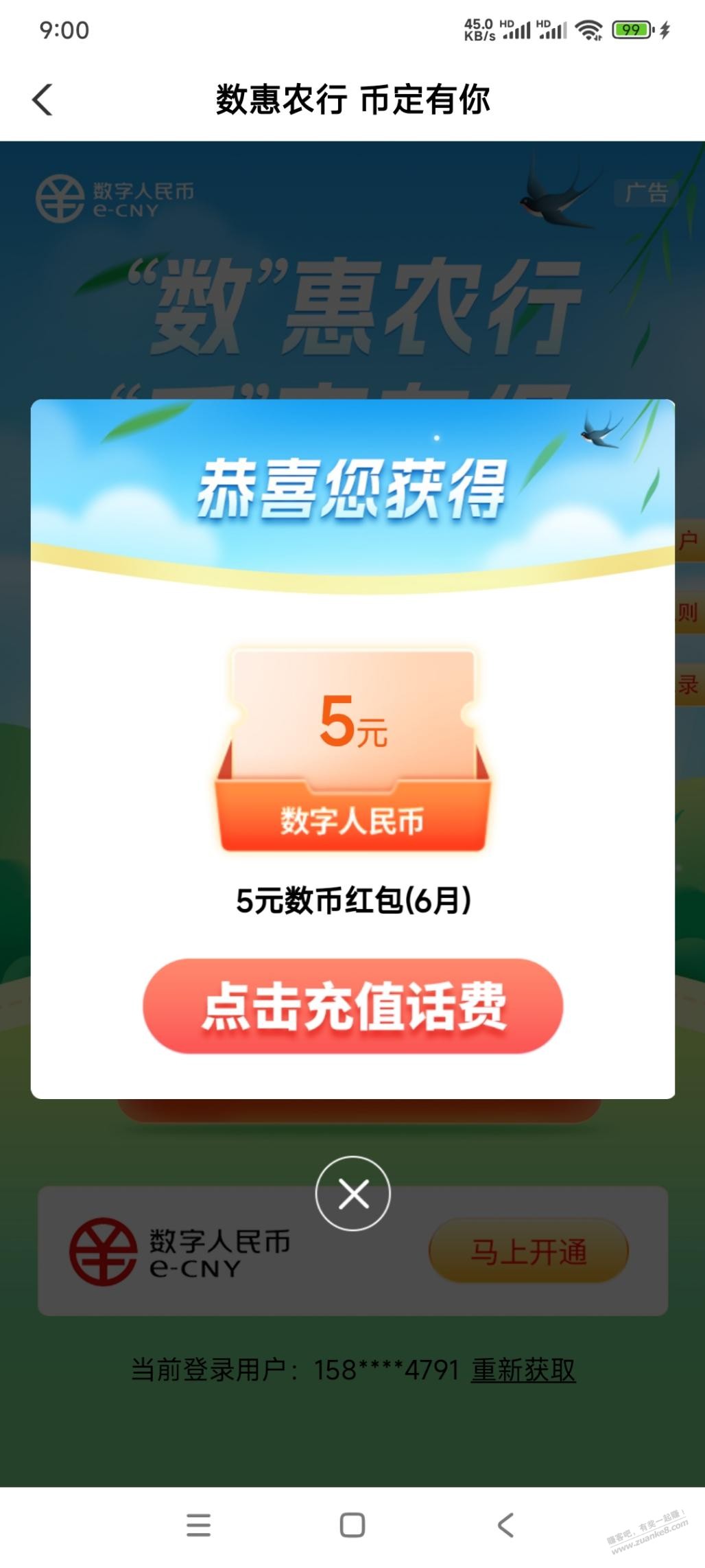 d1.jpg