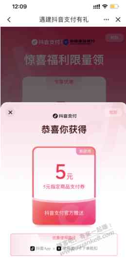 d1.jpg