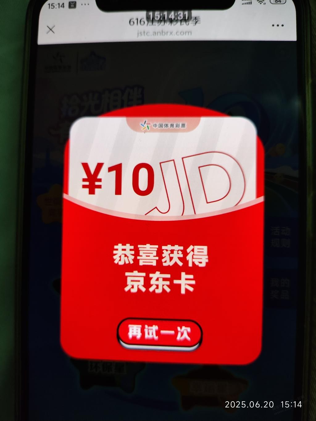 d1.jpg