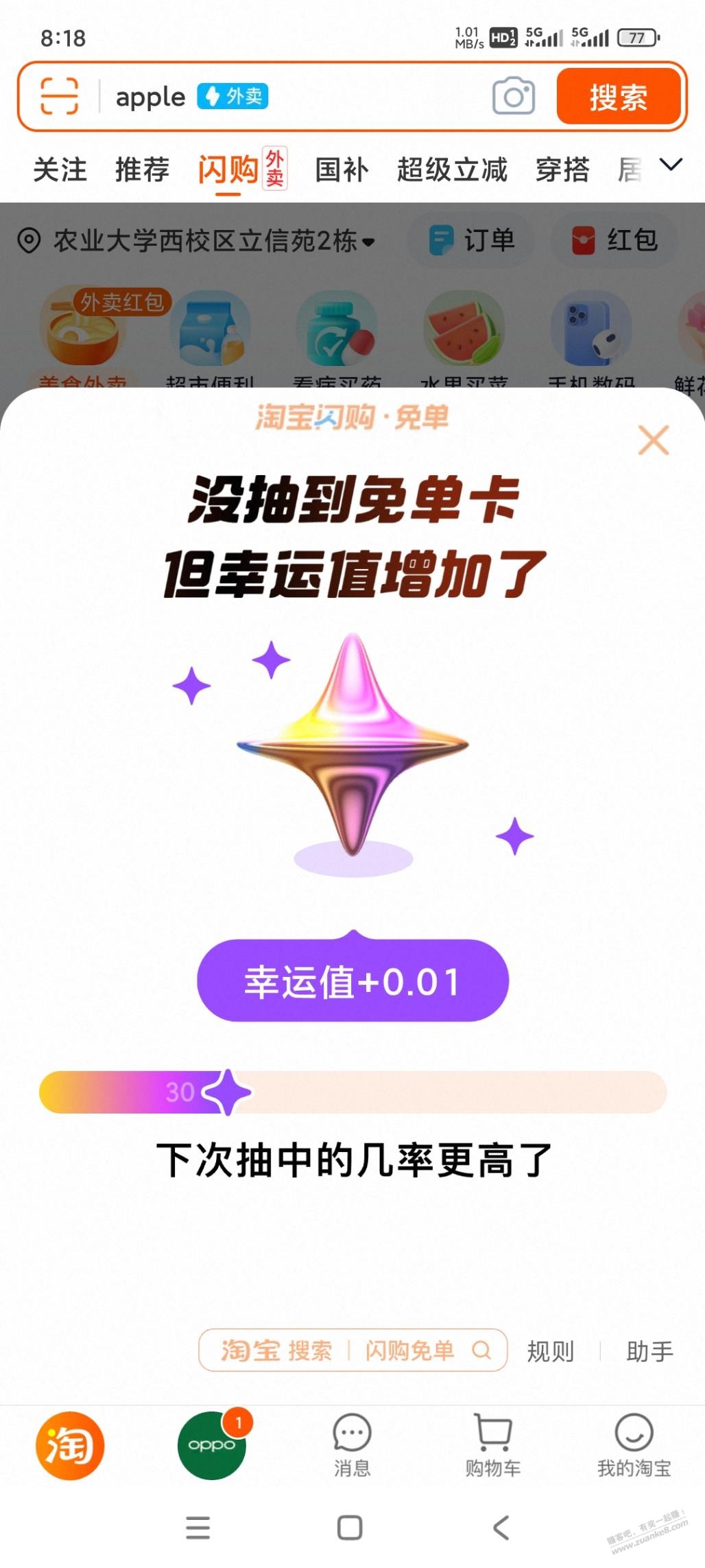 d1.jpg