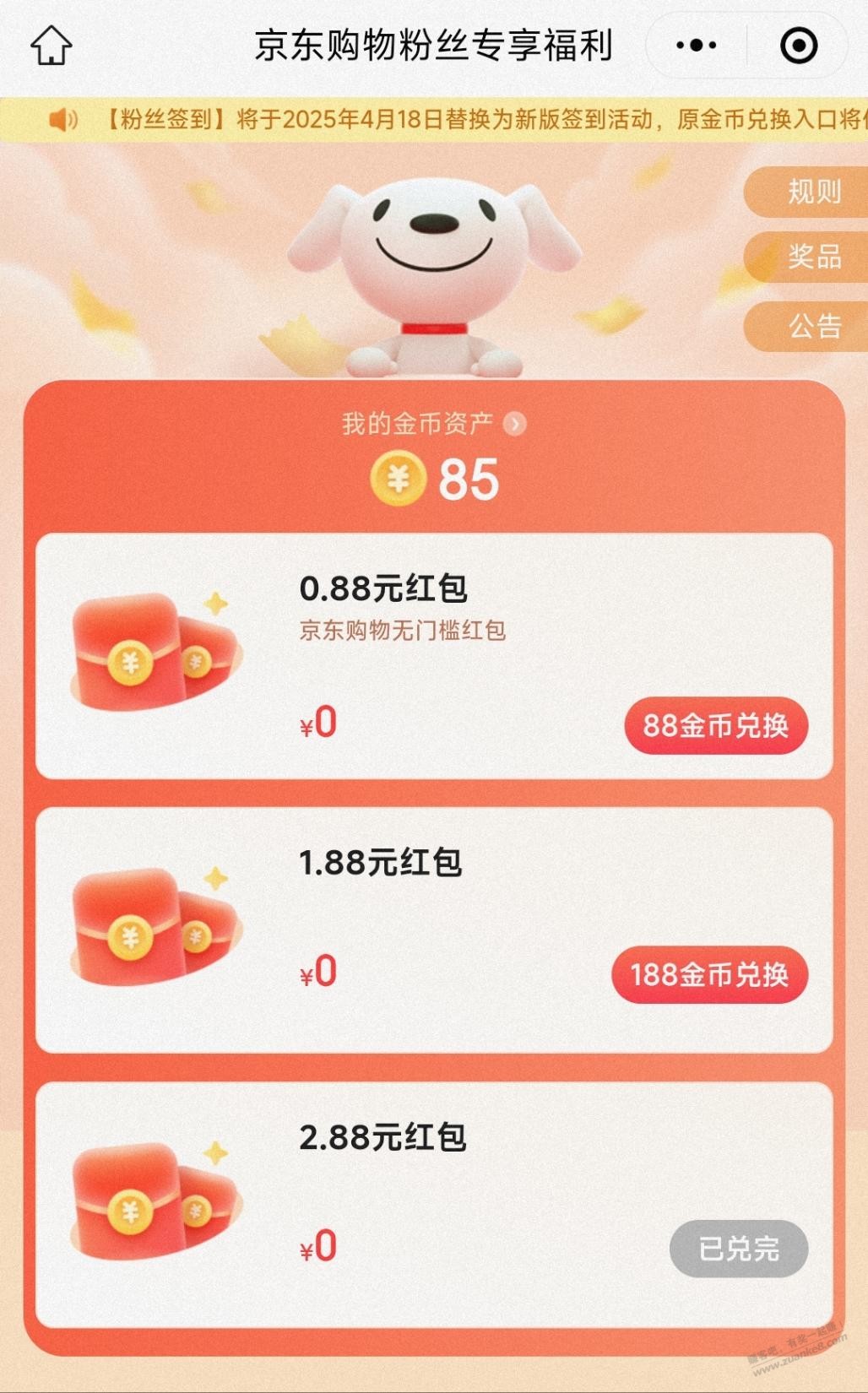d1.jpg