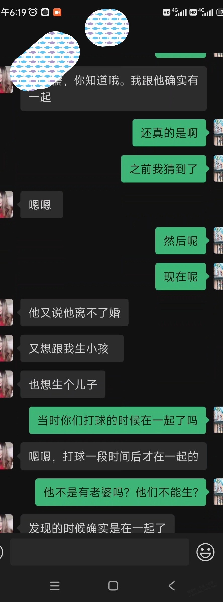 d6.jpg